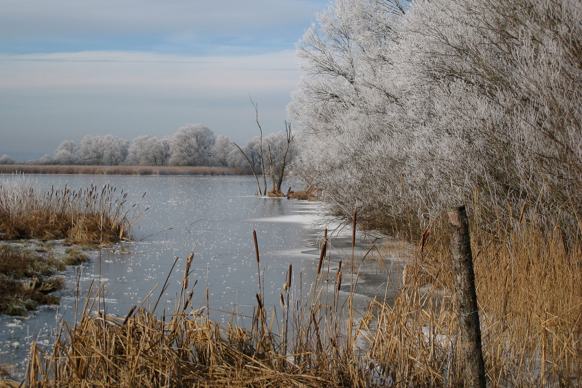 hoarfrost on lake Ammersee, Upper Bavaria
